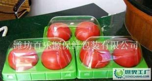 水果专用物理保鲜盒 选购指南与市场概览